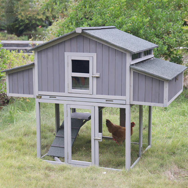 Tucker Murphy Pet™ Clemen 26 Square Feet Chicken Coop with Chicken Run